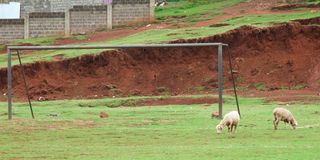 Olenguruone stadium