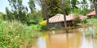 floods 