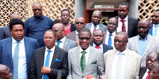 Azimio legislators led by National Assembly Minority Leader Opiyo Wandayi and his Senate counterpart Stewart Madzayo