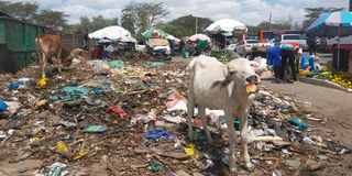 Kitengela Garbage