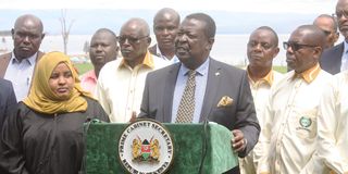 Prime Cabinet Secretary Musalia Mudavadi 