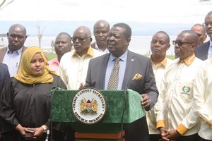 Prime Cabinet Secretary Musalia Mudavadi 