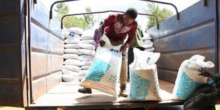Workers offload bags of fertiliser at a National Cereals and Produce Board depot in Elburgon, Nakuru County