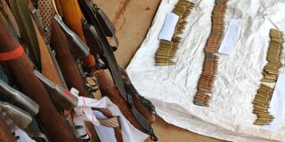 samburu guns