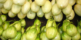 African Egg plant