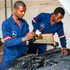 Mechanic