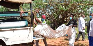 kilifi mass graves