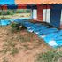 Kilifi Cult Bodies