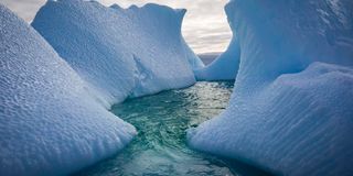 Icebergs surround Galindez Island in Antarctica
