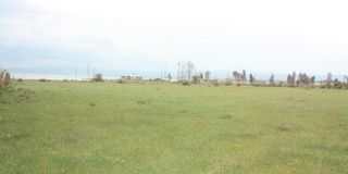 Karuturi Stadium
