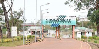 Mumias Sugar