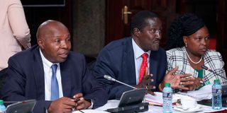The Intergovernmental Relations Technical Committee