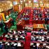 Members of Parliament