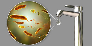 cholera bacteria water tap