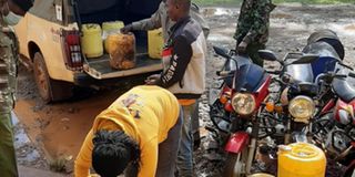 Illicit brews