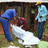 tharaka nithi murder