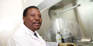 maritim songok, kemri