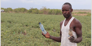 Plastics, Farming, Health, Climate Adaption.