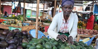 Ms Pauline Waithira