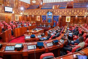 Senate session