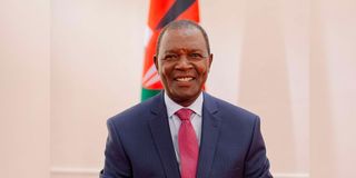 Treasury Cabinet Secretary Njuguna Ndung'u