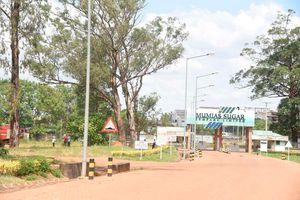 Mumias Sugar Company