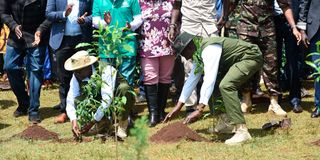 William Ruto