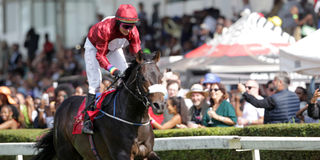 Jockey Lesley Sercombe