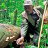 kakamega forest
