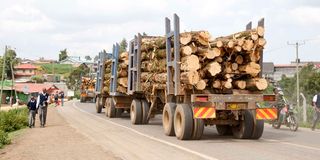 logging