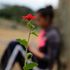 A girl writes a letter.