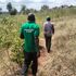 Health volunteer