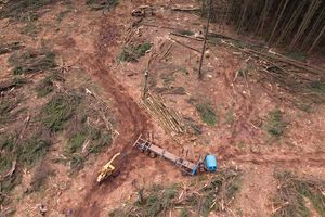 Logging