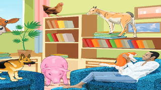 Zootonic diseases