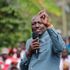 Ruto Mt Kenya Tour