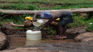 River Njoro
