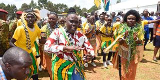 Traditional dancers