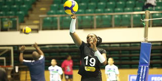 Edith Wisa