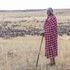 President William Ruto maasai mara