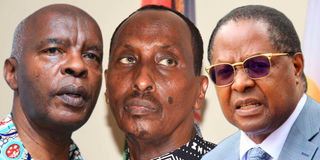 Kivutha Kibwana