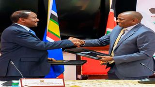 Kalonzo Musyoka and National Assembly Majority Leader Kimani Ichung’wa
