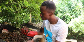 regenerative farmer