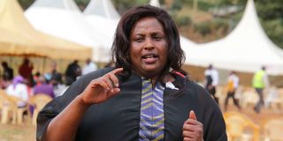 Embakasi Ranching Company Limited chair Phideli Wangari