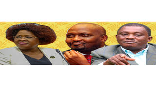 Alice Wahome, Trade CS Moses Kuria