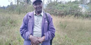 Land grabbing