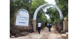 Chale Island