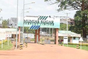 Mumias Sugar Company