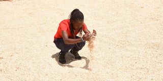 Faith Kipyegon