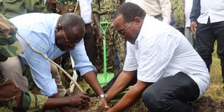 Raphael Munyua