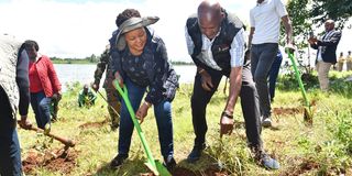 Anne Waiguru